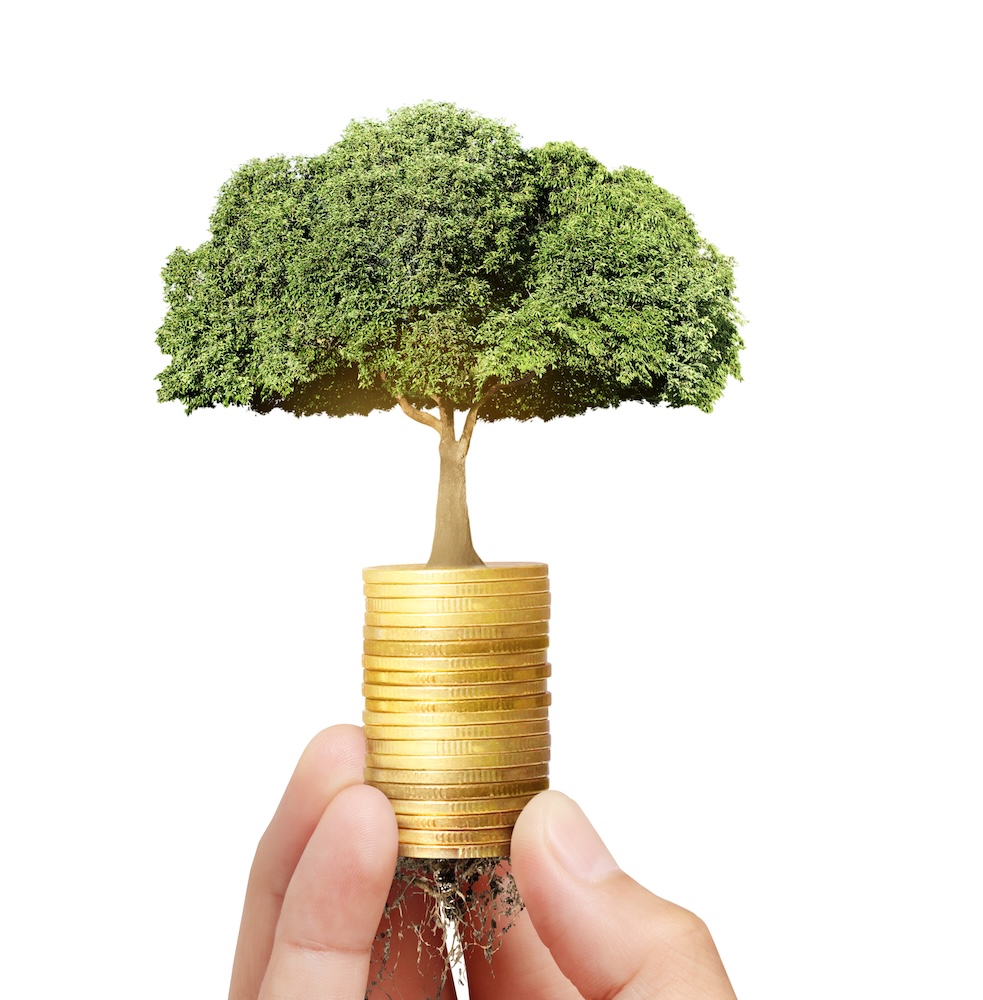 cash flow management software savings