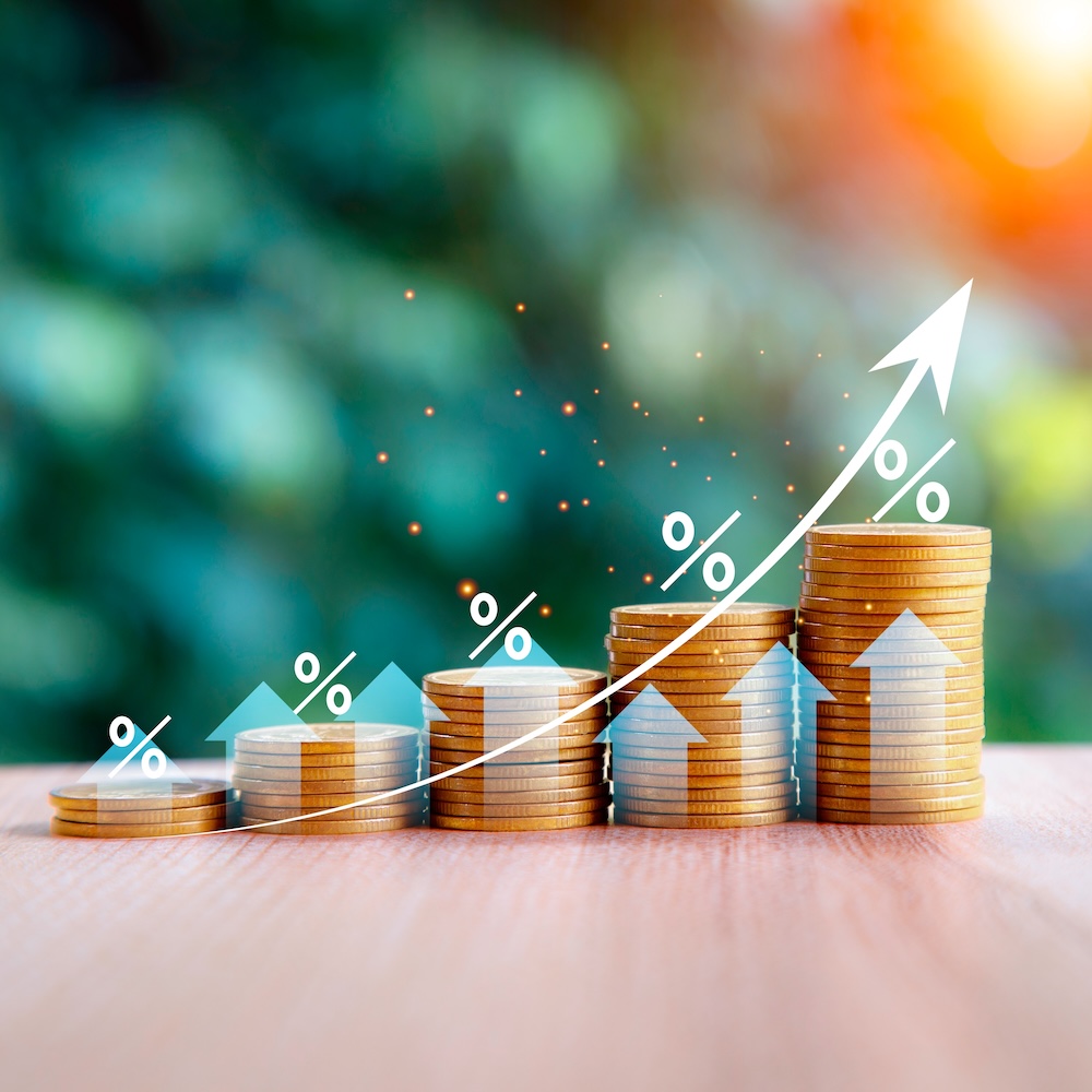 cash flow management software