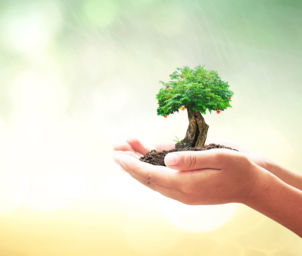 wealth planning consultants
