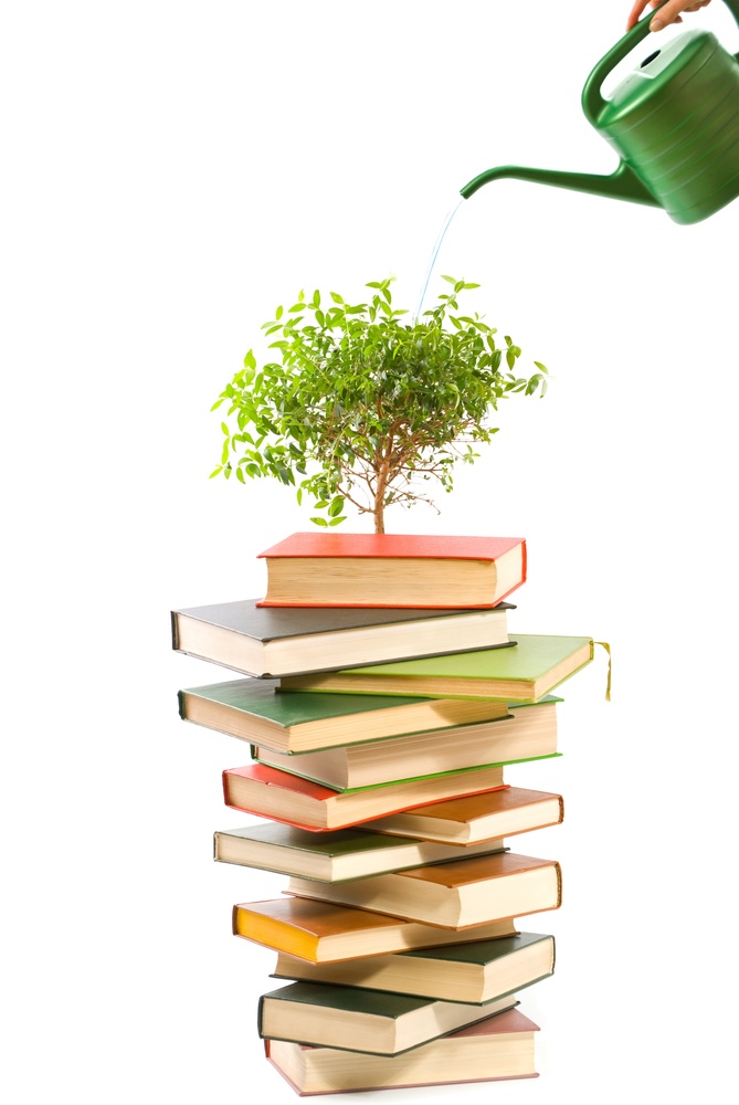 education financial planning process