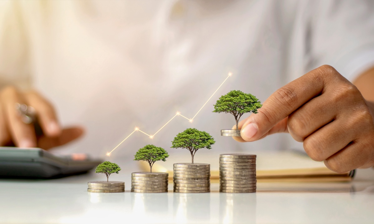 wealth planning sloutions